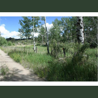 Ep. 256 New Mexico West Prepping - e12- Bug out bag essentials