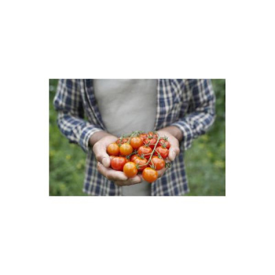 Contra Radio Network