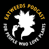 EP42: Medicinal Forest Gardens