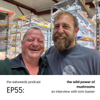 EP55: The Wild Power of Mushrooms