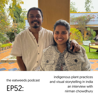 Plants  People: An Ethnobotanical Journey Through The Plant Kingdom