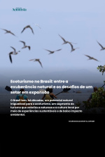 Diário do Acionista - Ecoturismo no Brasil: entre a exuberância natural e os desafios 