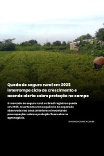 Diário do Acionista - Queda do seguro rural em 2025 interrompe ciclo