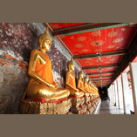 Culture - Zapp English Vocabulary and Pronunciation 3.5