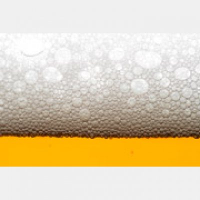 Zapp! English Vocabulary And Pronunciation (english Version)