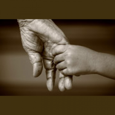 Zapp! English Vocabulary And Pronunciation (english Version)