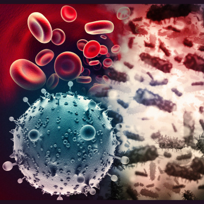 Zapp! English Vocabulary And Pronunciation (english Version)