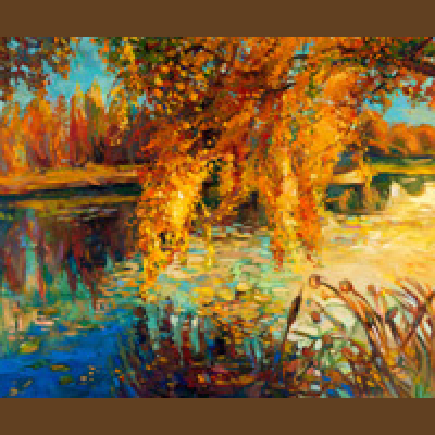 Zapp! English Vocabulary And Pronunciation (english Version)