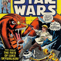 Issue 11 Star Search