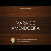Vara de amendoeira