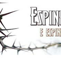 Espinhos e espinheiros