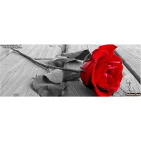 Veronda Bellamy Inspired - Laughter, Love,  Inspiration