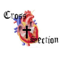 Cross Section ep. 8