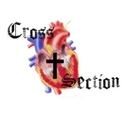 Cross Section