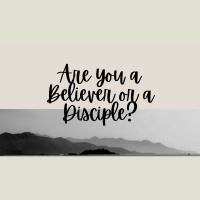 November 16, 2025 - Audio