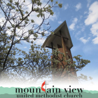 Are You “The One”?