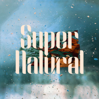 Fruit of the Holy Spirit