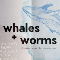 Whales + Worms // Part Five