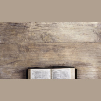 No Creed But the Bible?