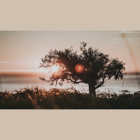 What’s Next for an Aging Pastor?