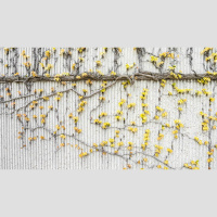 Do We Need Christian Role Models?