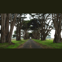 What Is Definite Atonement, and Why Does It Matter?