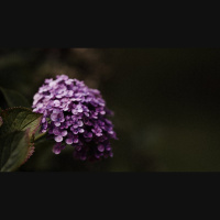 Christian Marries Non-Christian — How Does a Church Respond?