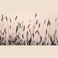 How Evangelistic Should Sundays Be?