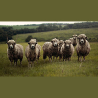 Local Atheist or Modern Pharisee — Who Is the Greater Threat?