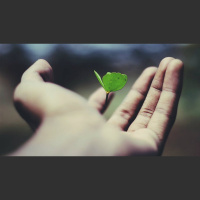 Believer Baptism and Mental Disabilities