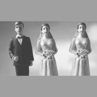 “May I Have Two Wives?” Six Vetoes