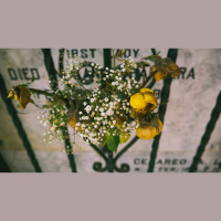 Does God Know the Exact Day I Will Die?