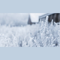 Why Did Jesus Need to ‘Learn Obedience’?