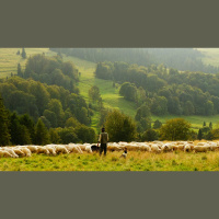 Why Pastoral Professionalism Isn’t Enough 