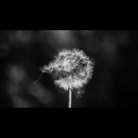 Can a Born-Again Christian Lose Salvation?