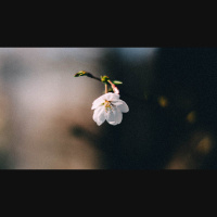 I Feel Unappreciated — How Should I Respond?