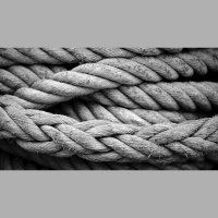 How Do We Know We Cannot Sin in Heaven?