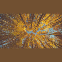 Robust Theology Fuels Ambitious Evangelism