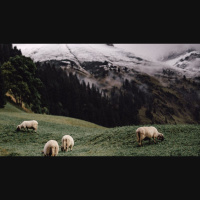 Christ’s Plan for the Globe — and You