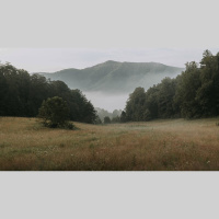 Adjusting to Life in the Country