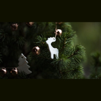 Should I Use Christmas Dinner for Evangelism?