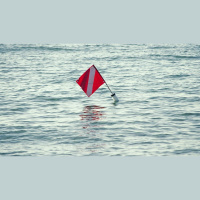 Cautions for New Calvinists