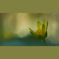 How Are We Born Again?