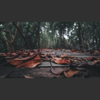 Loving Aging Parents Well