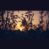 Is My Suffering a Correction for Sin?