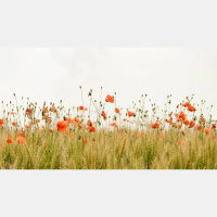 Does God’s Happiness Depend on Mine?