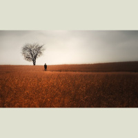 Should I Ever Pursue My Dreams?