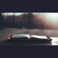 Ten Reasons to Read the Bible Every Day