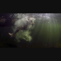 To Spiritually Float Is to Dangerously Drift 