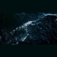 Seven Anchors That Hold When Tragedy Hits